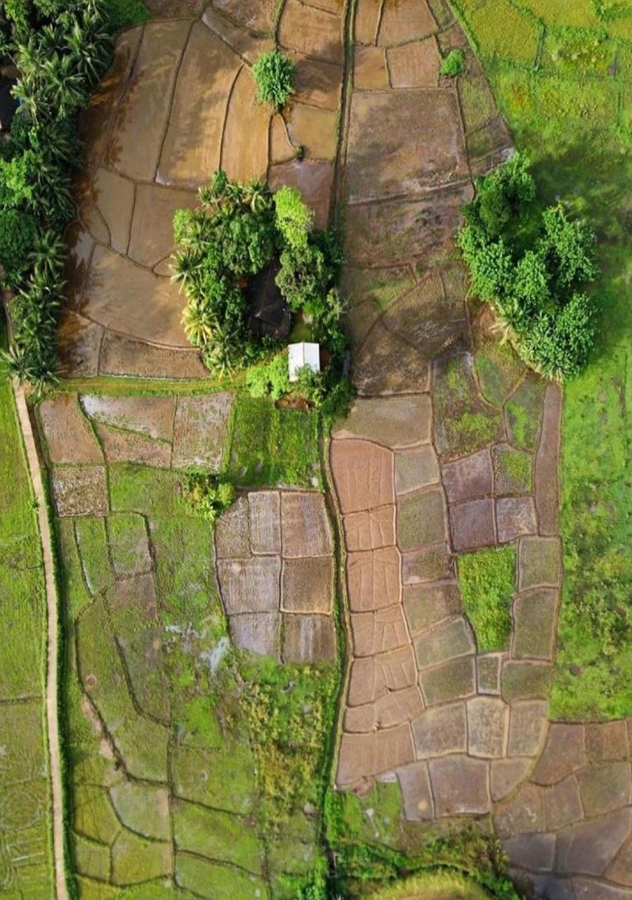 Forest & Fields Sinharaja Денияйя Экстерьер фото