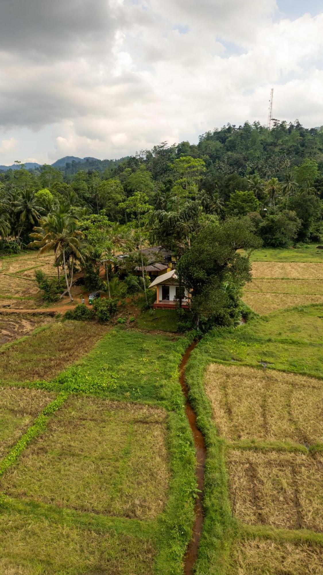 Forest & Fields Sinharaja Денияйя Экстерьер фото