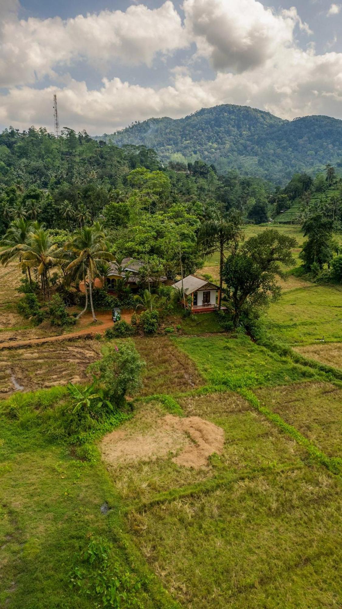 Forest & Fields Sinharaja Денияйя Экстерьер фото